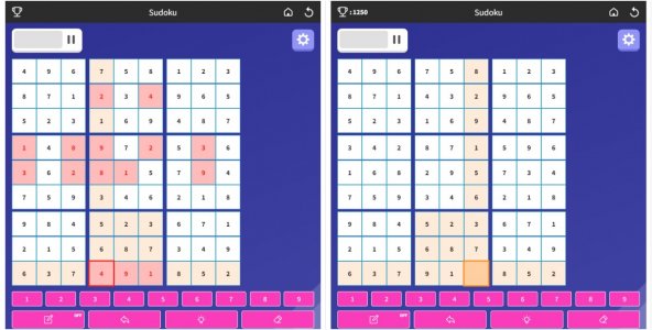 2022-11-17 SDC Sudoku solutions x 2.jpg
