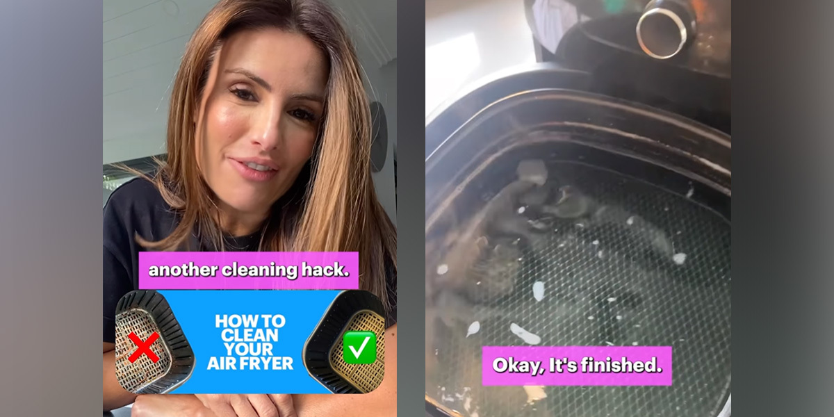 Air Fryer Cleaning Hacks 