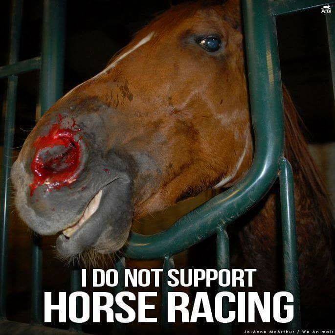 62245-AAA%20Horse%20racing.jpg