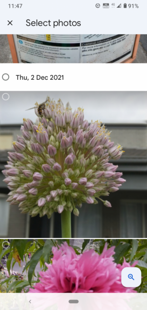 Screenshot_20220106-234719.png
