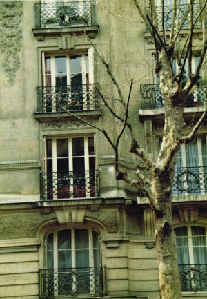 Paris apartments.jpg