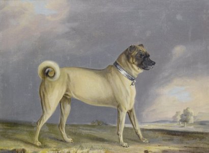 Henry_Bernard_Chalon_-_A_Pug_dog_(1802).jpg