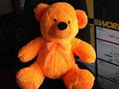 Bright Orange Bear.jpg