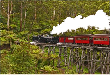 Puffin' Bill on Monbulk Creek Trestle..jpg