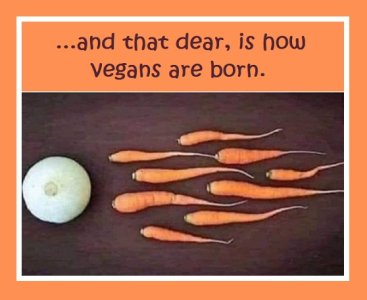 veg vegans born.jpg