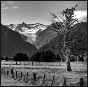 Fox Glacier_MkII.jpg