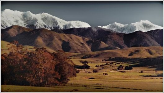 Evening sun on NZ Rural scene.jpg