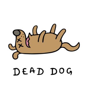 01-17-23 DEAD DOG.jpg