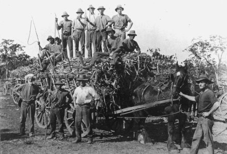 Group_of_teamsters_at_Walligan_siding,_1924_season.jpg