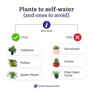 Plants to self-water (and one's to avoid) (1).jpg