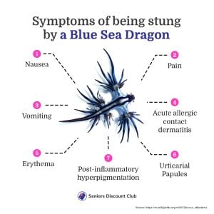 blue dragon sea warning sign.jpg