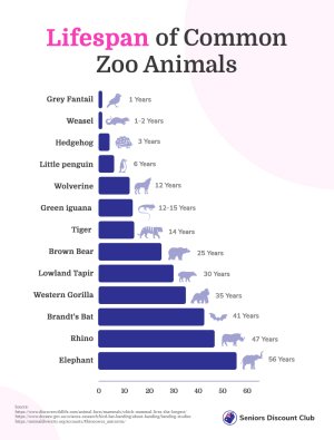 lifespan of common zoo animals.jpg