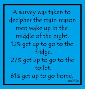 Survey men up at night.jpg