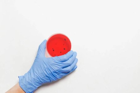 bacteria.jpg