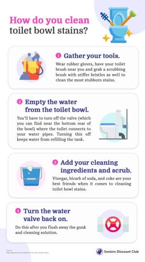 How do you clean toilet bowl stains_ (1).jpg