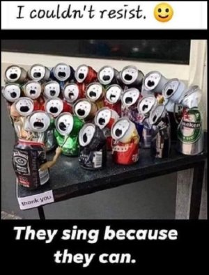 sing because they can.jpg