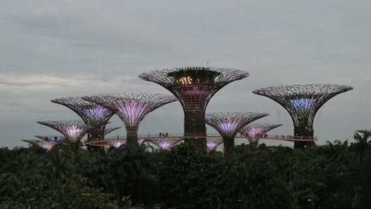 Gardens by the Bay.JPG