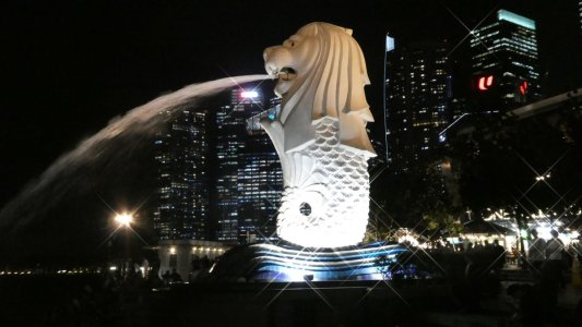 The Merlion at Night.JPG