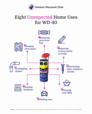 Eight Unexpected Home Uses for WD-40.jpg
