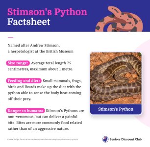 Stimson's Python Factsheet.jpg