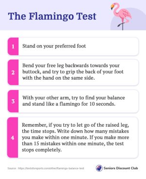 The Flamingo Test.jpg