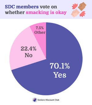 SDC members vote on whether smacking is okay (1).jpg