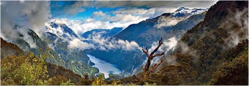 Doubtful Sound_New Zealand copy.jpg