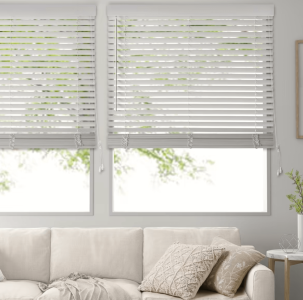 venetian blinds.png