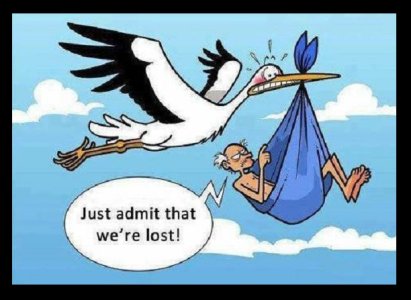 stork admit lost.jpg