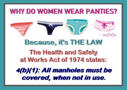 why women wear panties.jpg