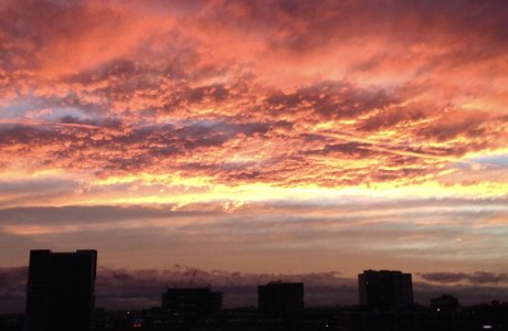 Sydney Sunset6.JPG