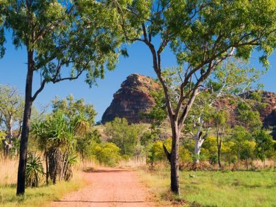 Mt Xeromero (Qld).jpg