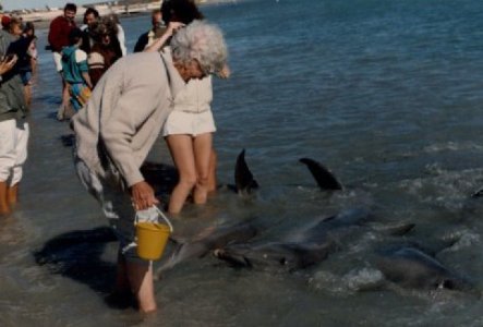 Nan Mary and Dolphins 1987.jpg