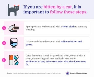 If you are bitten by a cat, it is important to follow these steps_.jpg