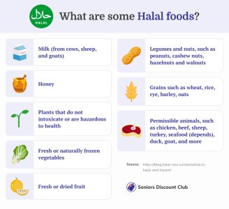 What are some Halal foods_.jpg