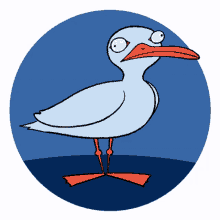 bird-animation.gif