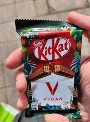 kitkat2.jpg