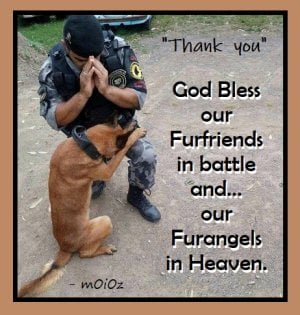 God Bless Furfriends.jpg