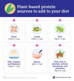 Plant-based protein sources to add to your diet.jpg