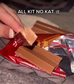 kitkat2.jpg