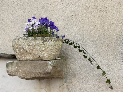 window box.JPG