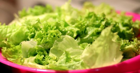 lettuce1.jpg