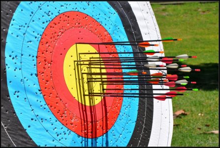 Target Adelaide Archery Club.jpg