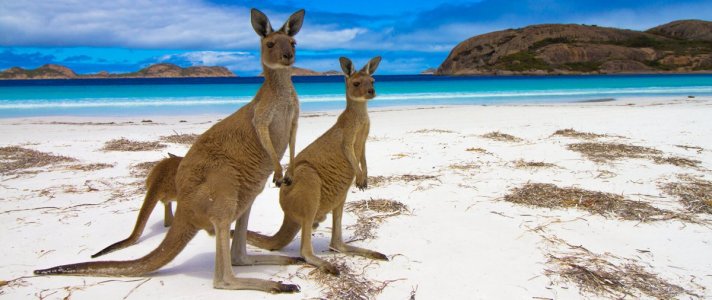 Kangaroo-Island-Australia-COVER.jpg