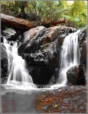 001 Olinda Falls_a.jpg