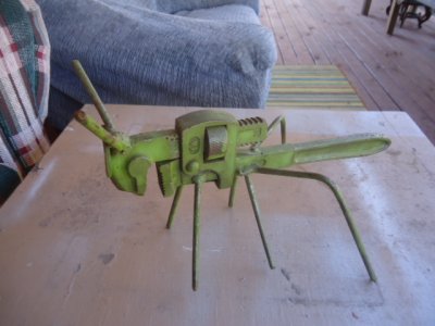 Grass hopper.JPG