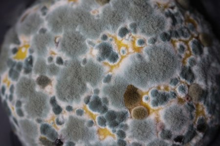 sandy-millar-6tF2unOGK1c-unsplash (1).jpg