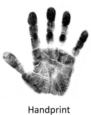 Handprint.jpg