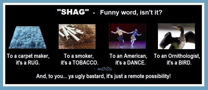 Shag funny word.jpg