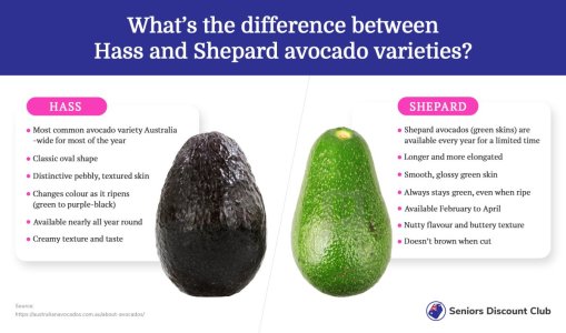 What’s the difference between Hass and Shepard avocado varieties_.jpg